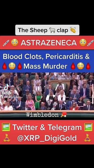 The SHEEP clap 👏 like SEALS 🦭