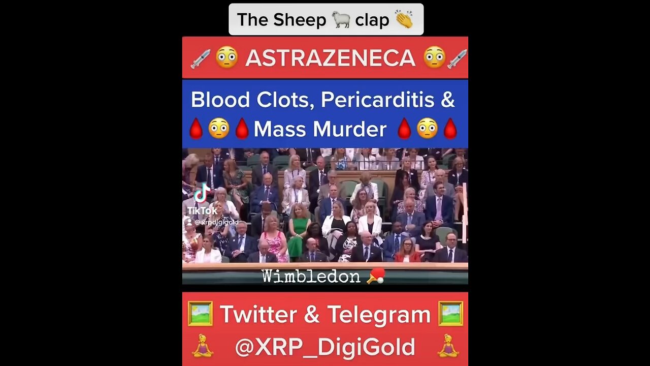 The SHEEP clap 👏 like SEALS 🦭