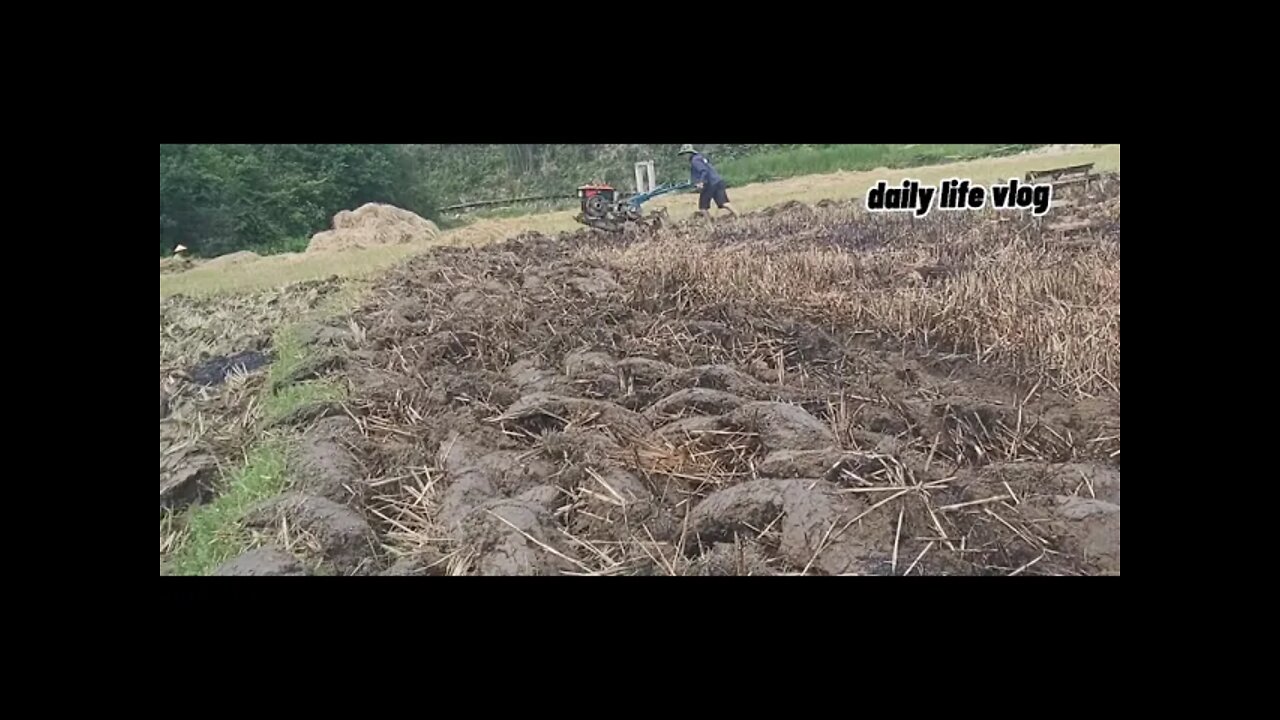 plow the fields | daily life vlog