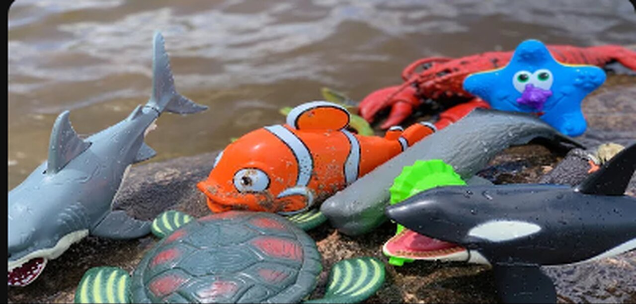 Sea Animal Toys This Summer at the Shore