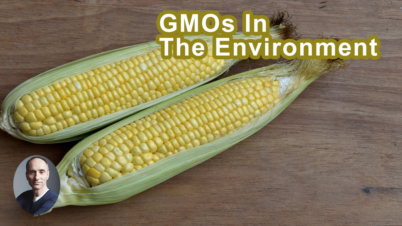 There's Nothing You Can Do To Recall GMOs In The Environment