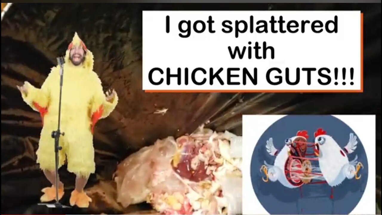SPLATTERED WITH CHICKEN GUTS