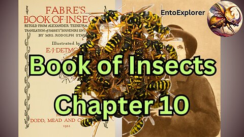 Life of Common Wasps - Book of Insects Chapter 10 by Jean-Henri Fabre