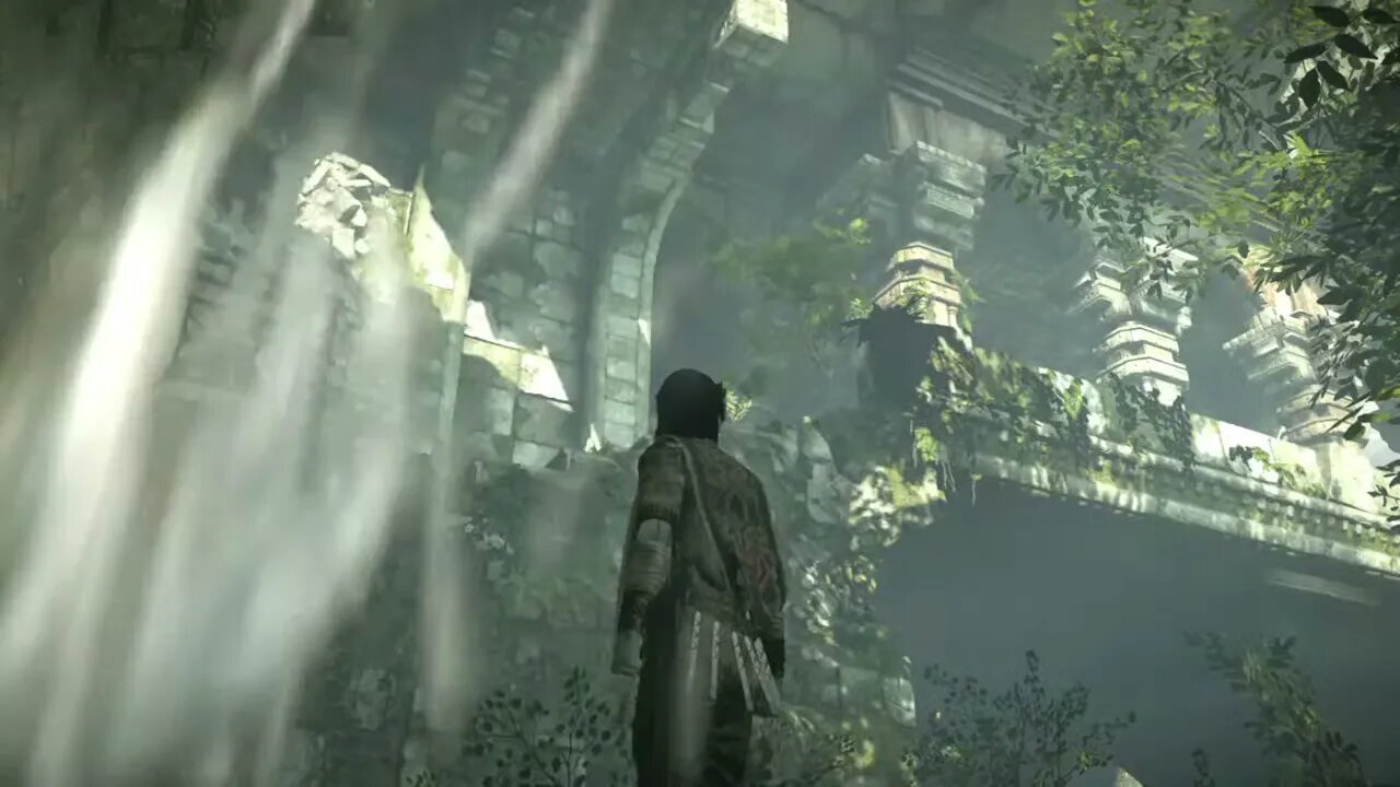 Continuing the Hunt For Coins w Tim Madone | Shadow of the Colossus | Livestream