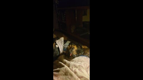 Scaring Ranger outta my spot