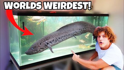 Buying World's WEIRDEST Exotic AQUARIUM FISH!