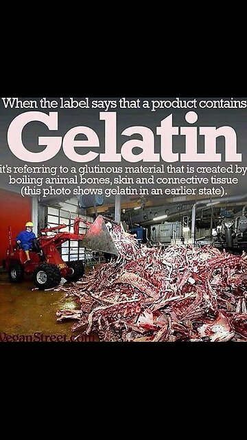 New LIVER in just a week! 🤷‍🤷‍♀️🤷‍♀️