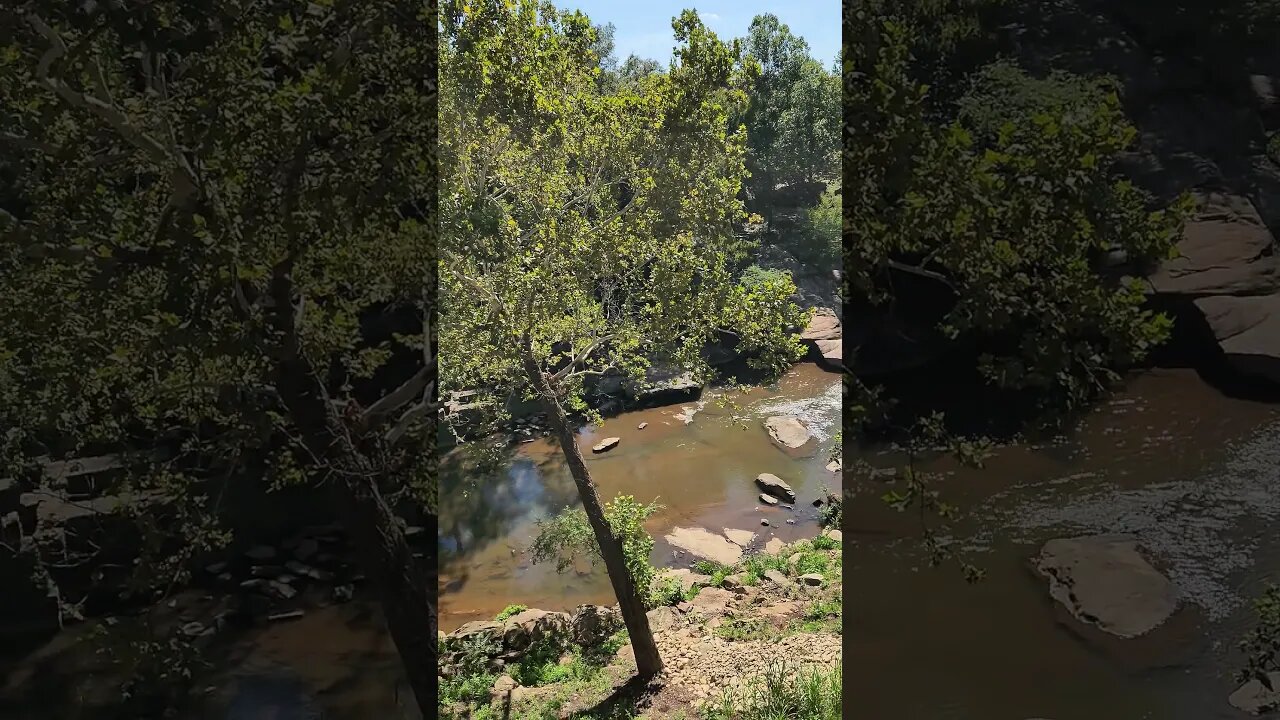 Waterfall at the Grand Bohemian Lodge in Greenville!