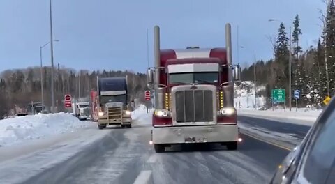 We’re Not Going To Take It Anymore Canadian Trucker Edition