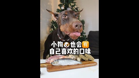 Tiger's daily (12/30/2022)