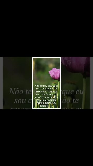 VERSÍCULO DO DIA 22/09/2022.#shorts