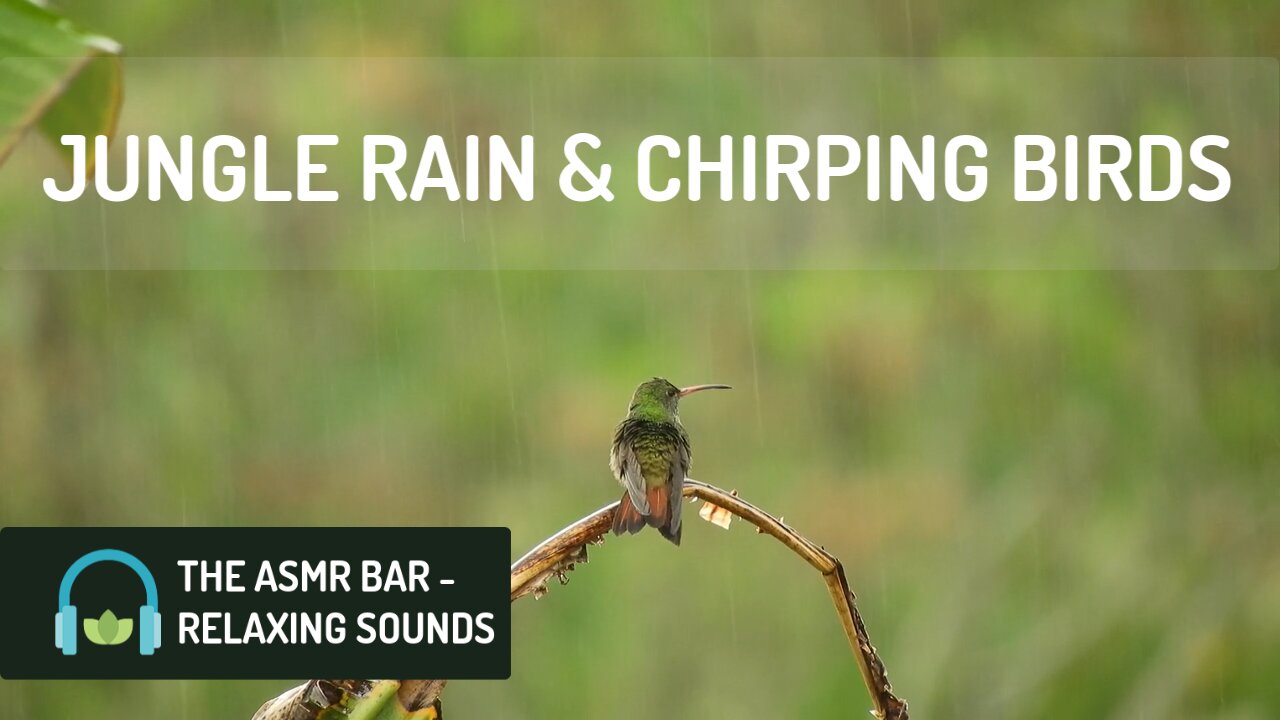 Jungle Rain and Chirping Birds | White Noise | Relieve Stress, Drift to Sleep