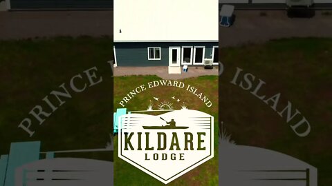 Drone videos of Kildare Lodge