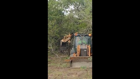 Tree takedown