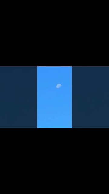 FALCON DINDE DEVANT LA LUNE