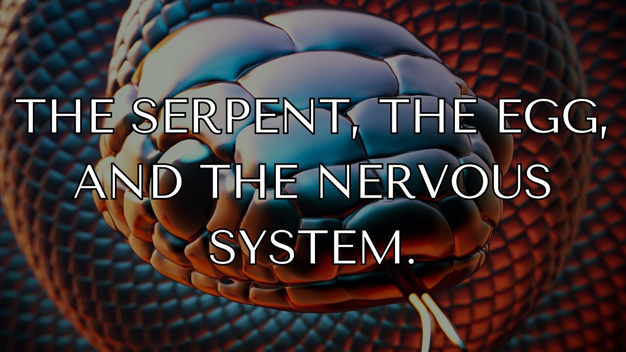 The Serpent, the egg, and the nervous system.