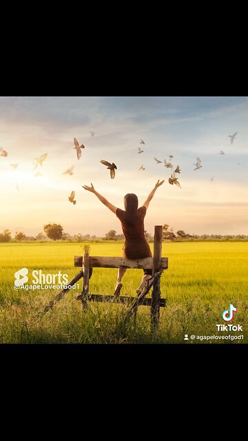 Covered in His Peace: A Morning Prayer for Tranquility #Shorts