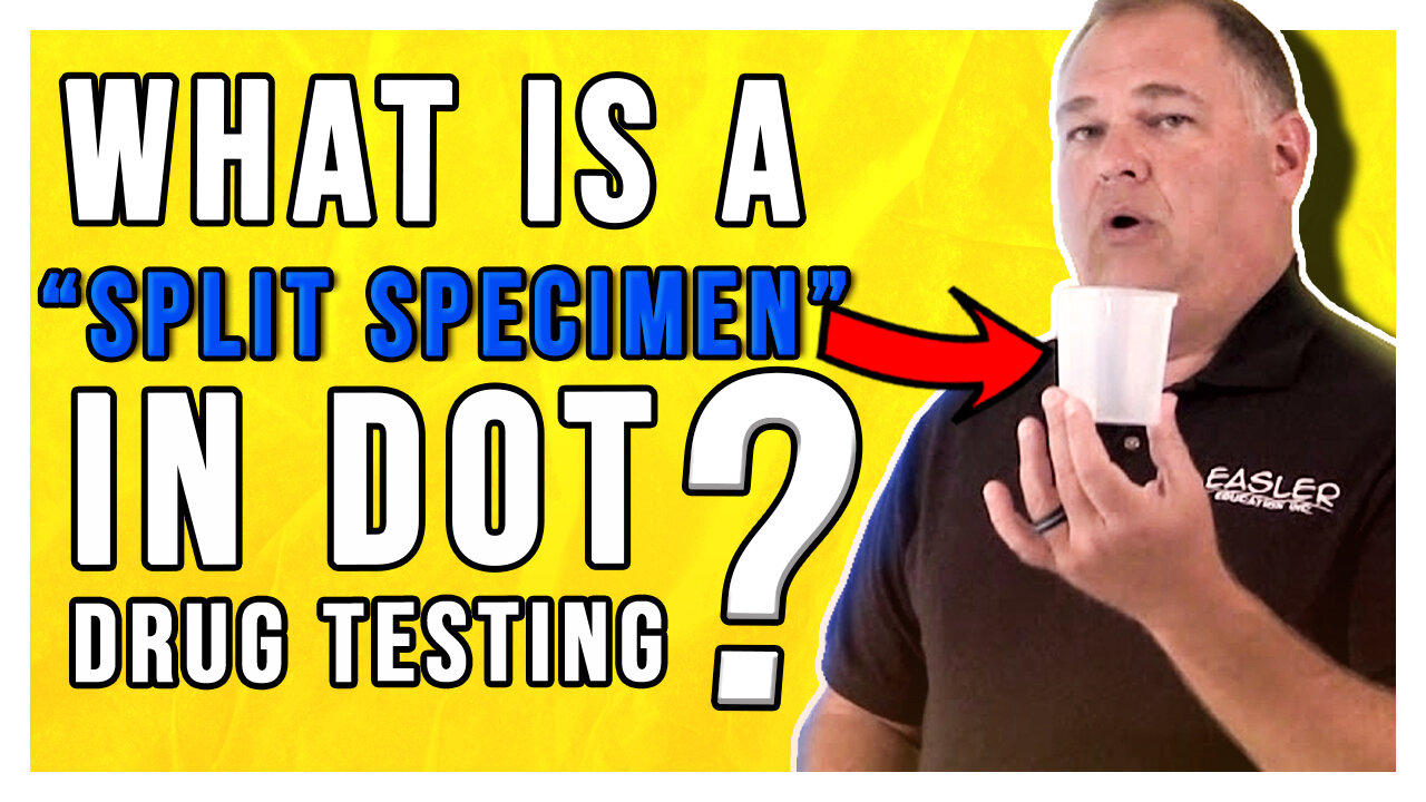 What is a Split Specimen in DOT Drug Testing?