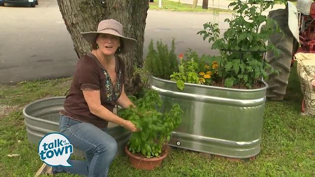 Lark Foster's Tips on Container Gardening