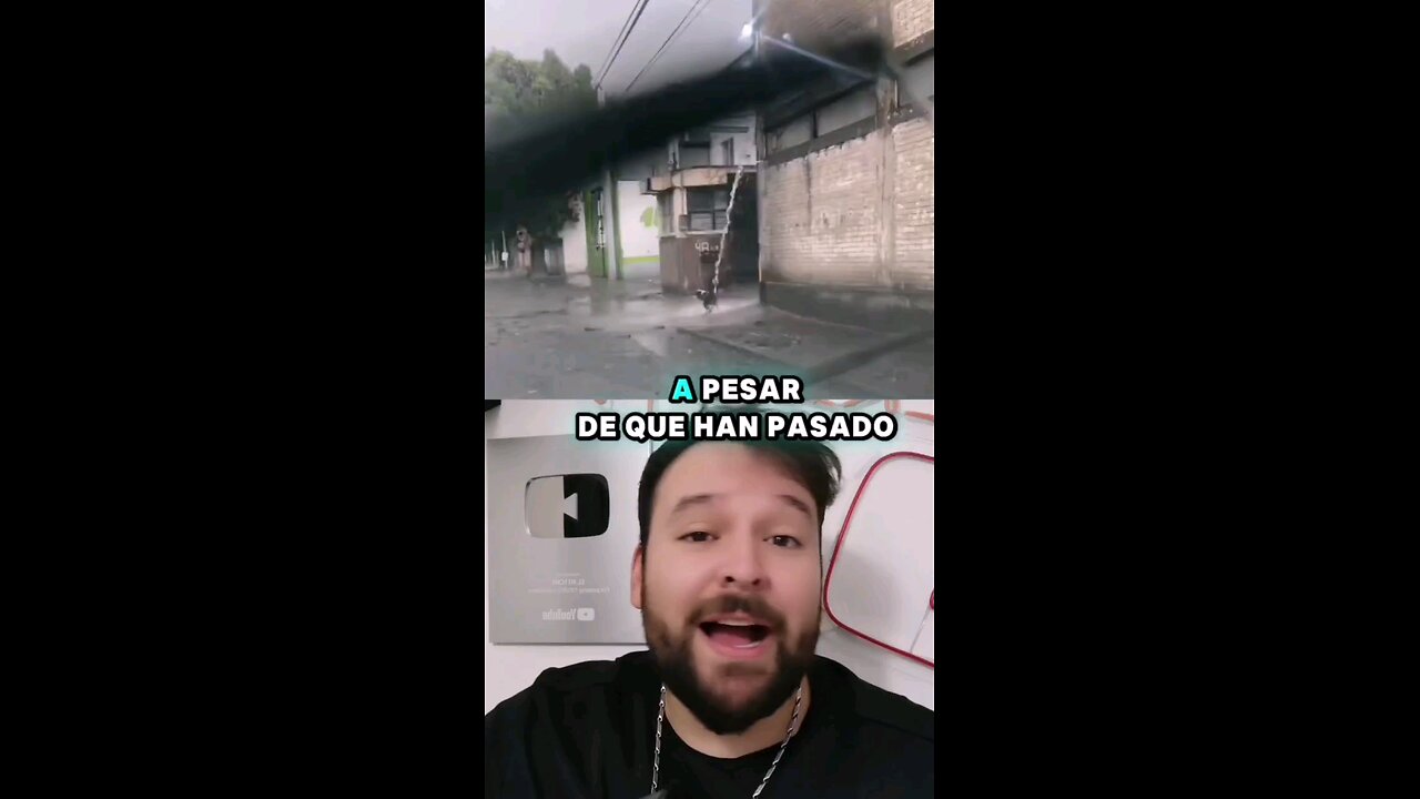 Este Perrito. os enseña a ser felices 🥰