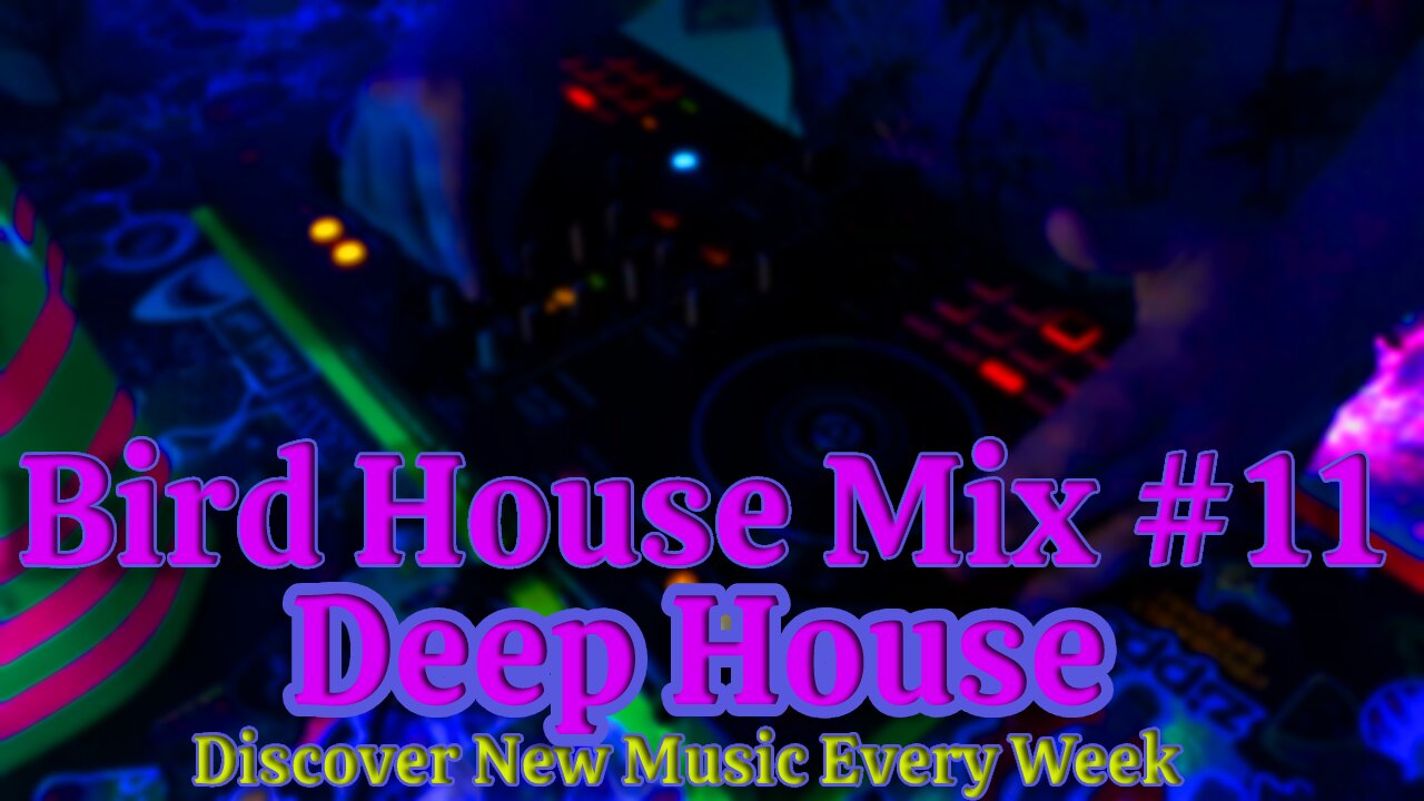 DJ FreeBird - Bird House Mix #11 - Deep House - Pioneer DDJ-400