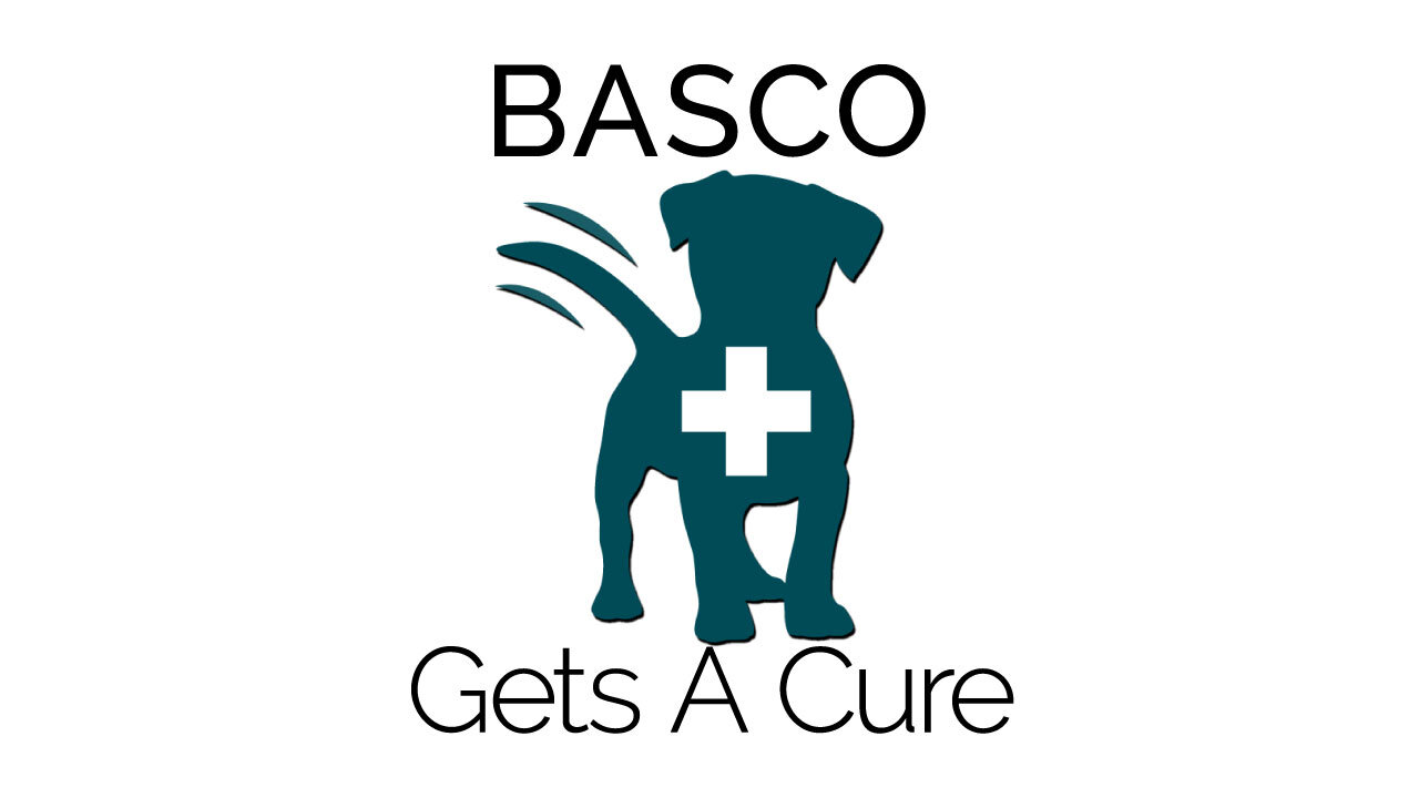 Basco Gets A Cure