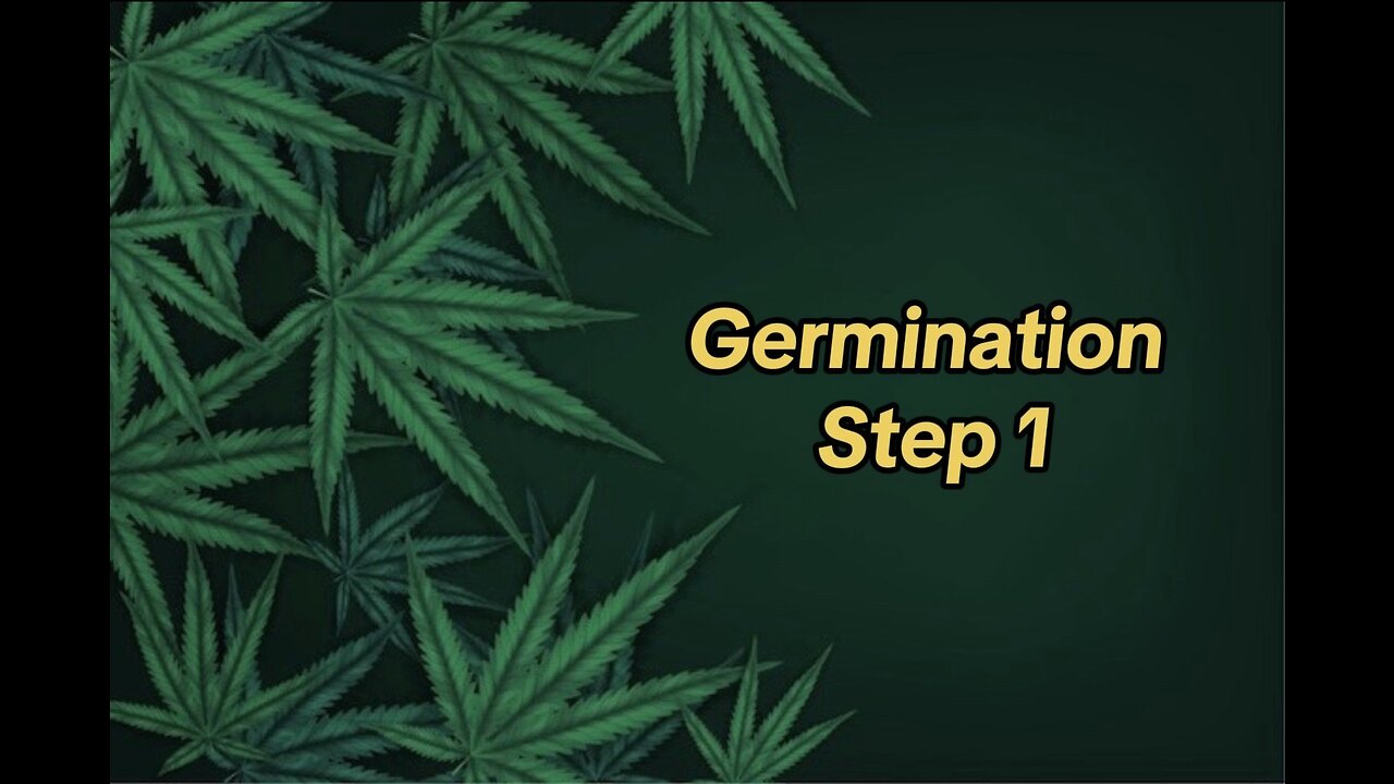 Let’s Grow “Flowers”: Germination Step 1