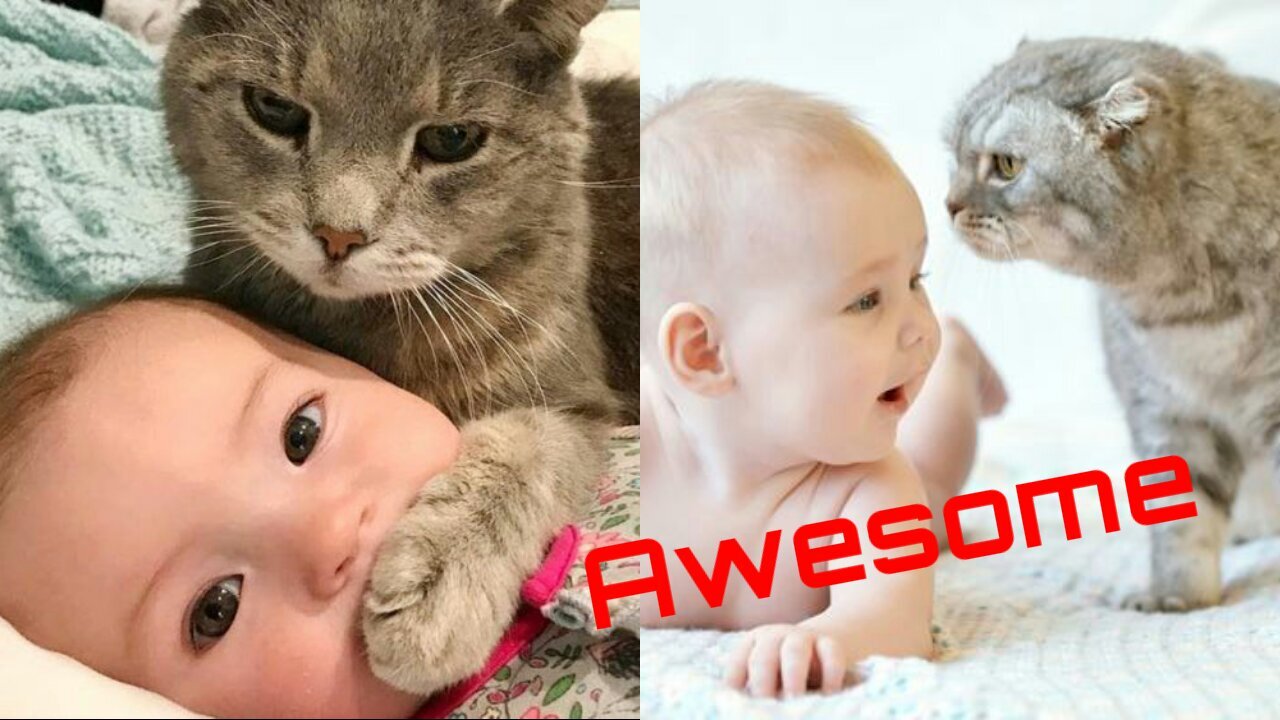 Cute Babies and Kittens Compilation