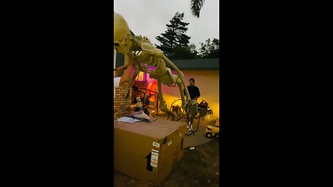 12 Foot Skeleton 👀 💀
