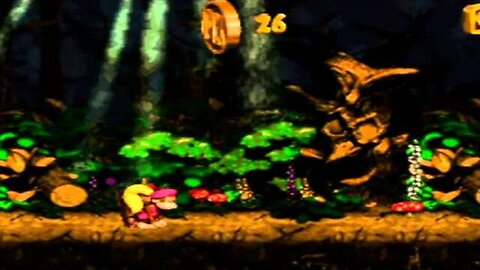 Donkey Kong Country 2 Walkthrough Part 13: Condemn The Coasters!