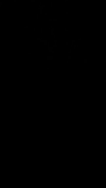 All you can eat salmon