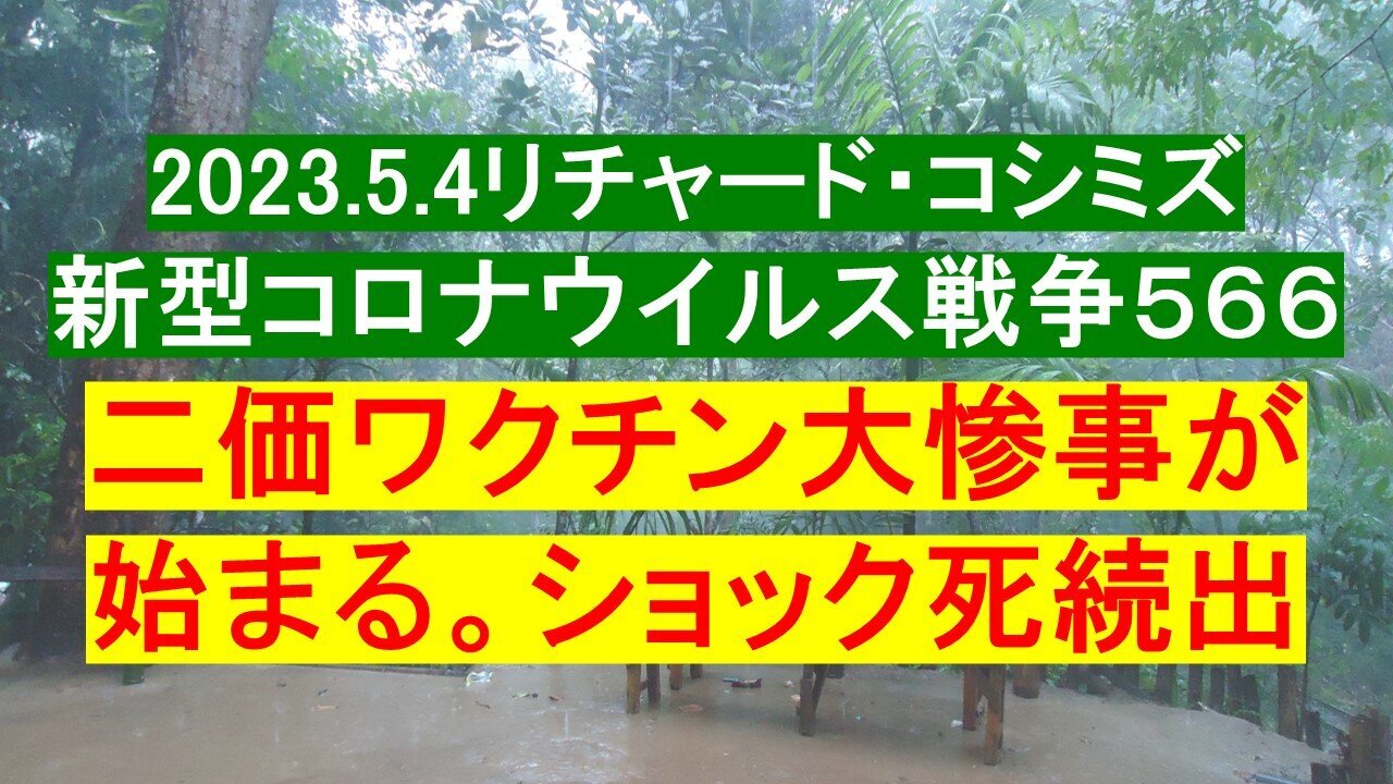 2023.05.04 リチャード・コシミズ新型コロナウイルス戦争５６６