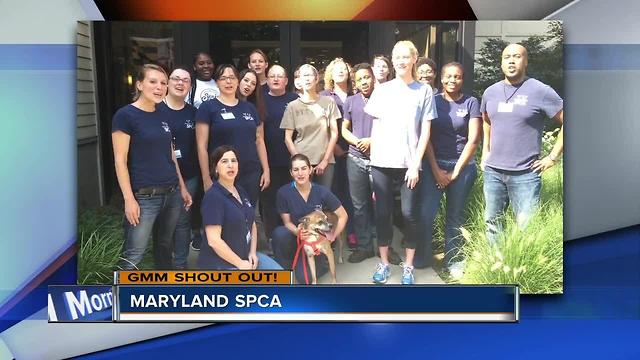 Maryland SPCA says good morning