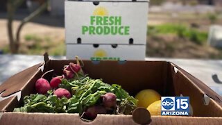 Project Roots: Community garden grows food to help with food insecurities