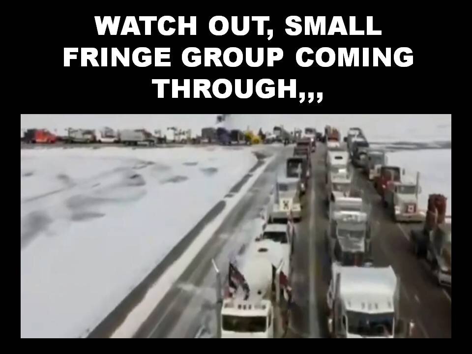 A SMALL FRINGE GROUP OF RADICALS