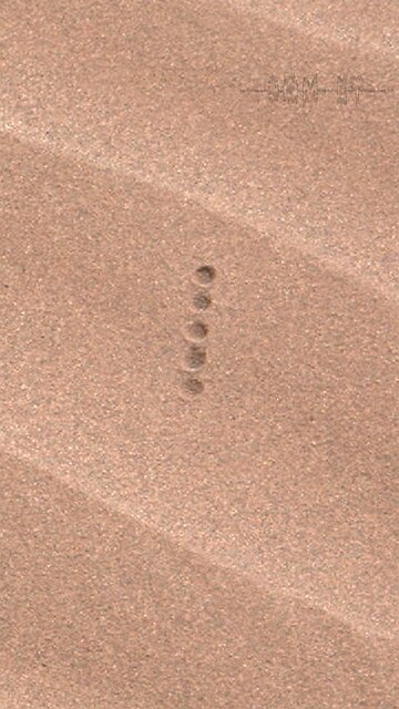 Som ET - 65 - Mars - Curiosity Sol 1630