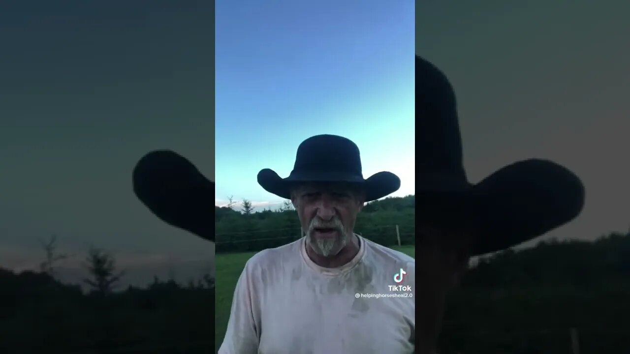 Blood, Sweat, and Tears