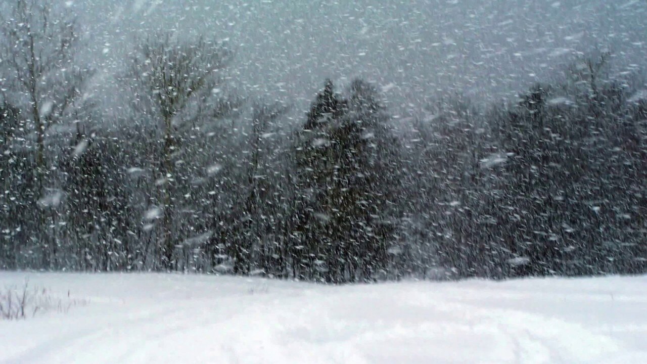 SNOW STORM SOUND, SNOWSTORM BLIZZARD SOUNDS, WINTER STORM SOUND For Sleeping, Wind Storm for 1 Hours