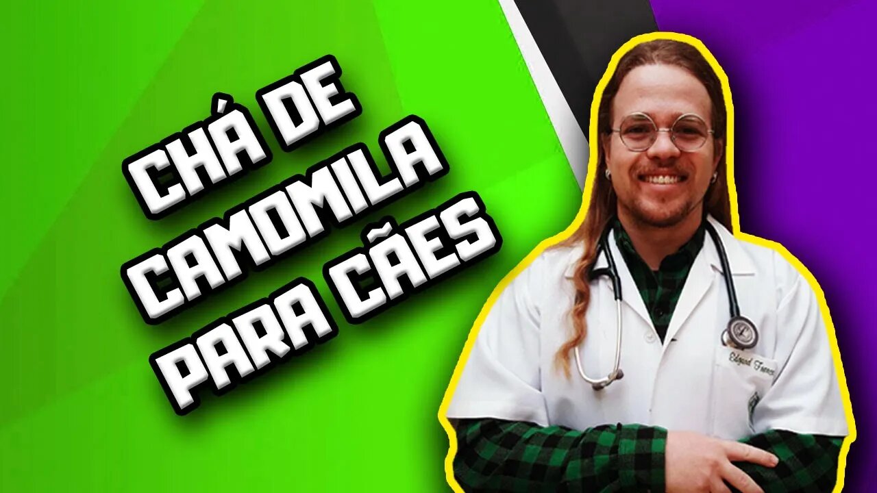 Chá de Camomila para Cães | Dr. Edgard Gomes | Alimentação natural para Cães