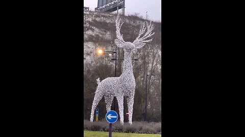 Beautiful Christmas Deer