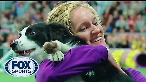 Pink The Border Collie Wine Back -To-Back Titles At The 2019 WKC