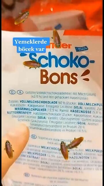 We are eating Insects at many Years