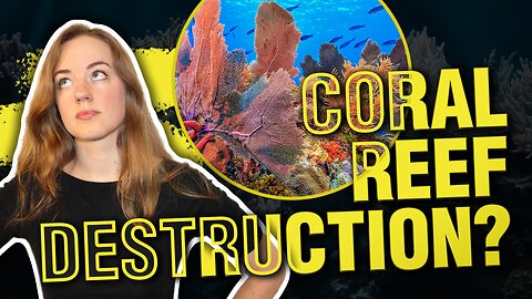 Are Coral Reefs Disappearing? 