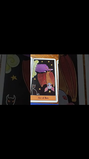 DAILY Psychic tarot reading for Tuesday October 31, 2023 #jackietomlin #tarotreading #dailytarot