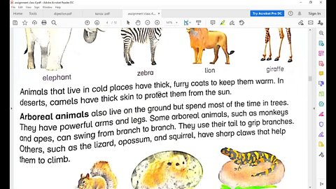 class 4 science 19 1 2021