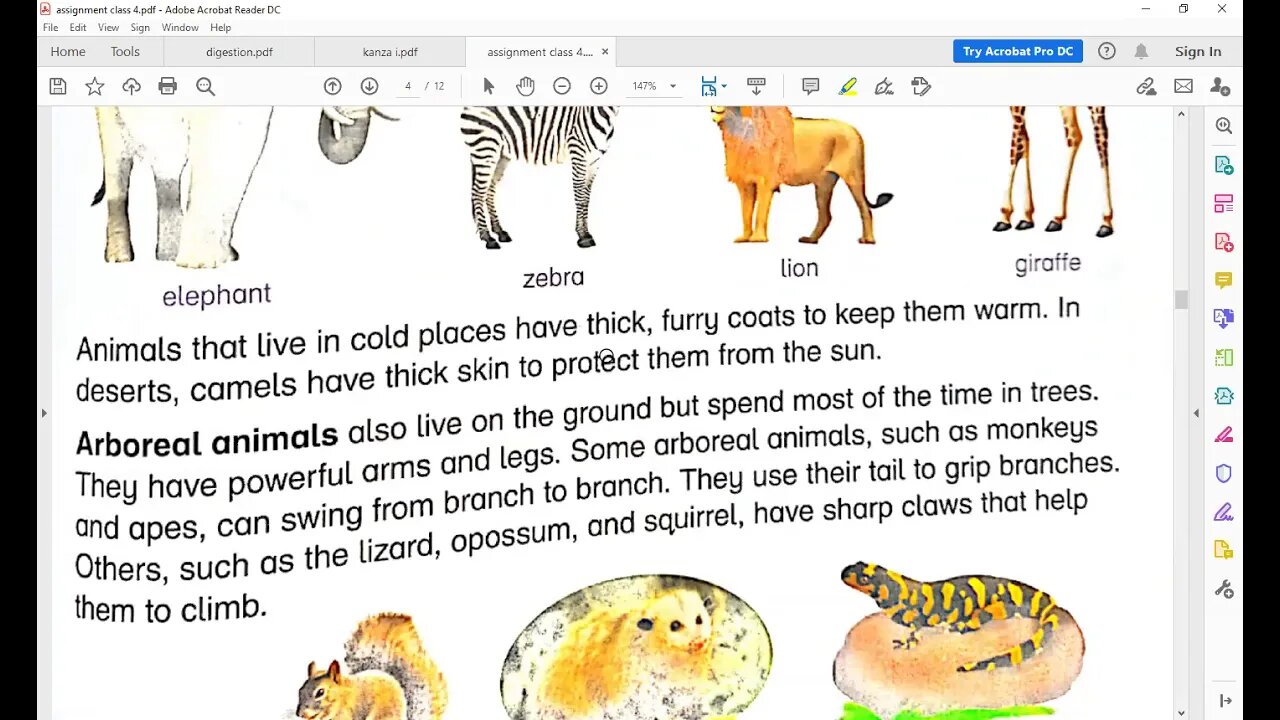 class 4 science 19 1 2021