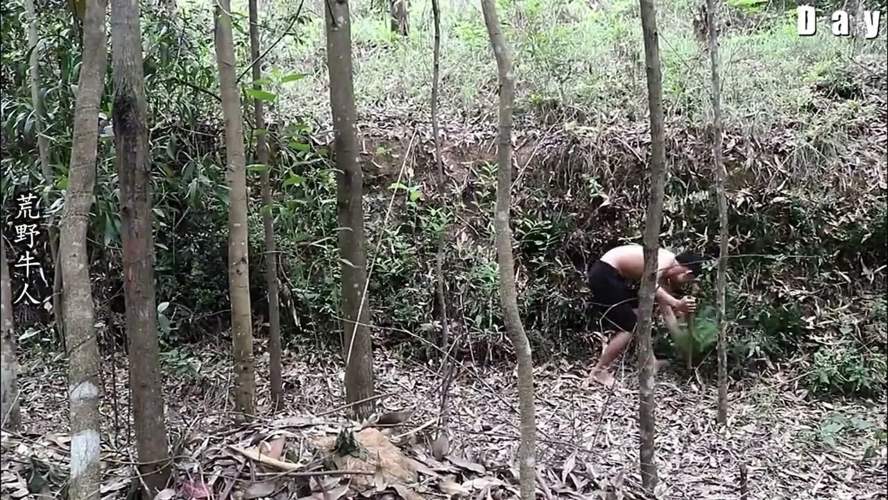 The boy wandered in the wild for 12 days, showing amazing wild survival skills6