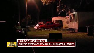 Deputies investigating stabbing in Hillsborough County