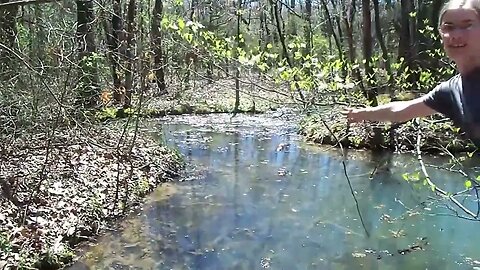 Come See the Toilet Tree! A Walk Through Our Woods