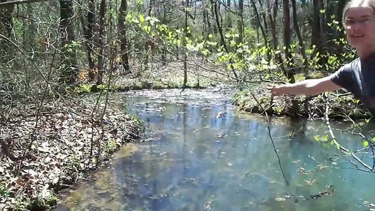 Come See the Toilet Tree! A Walk Through Our Woods